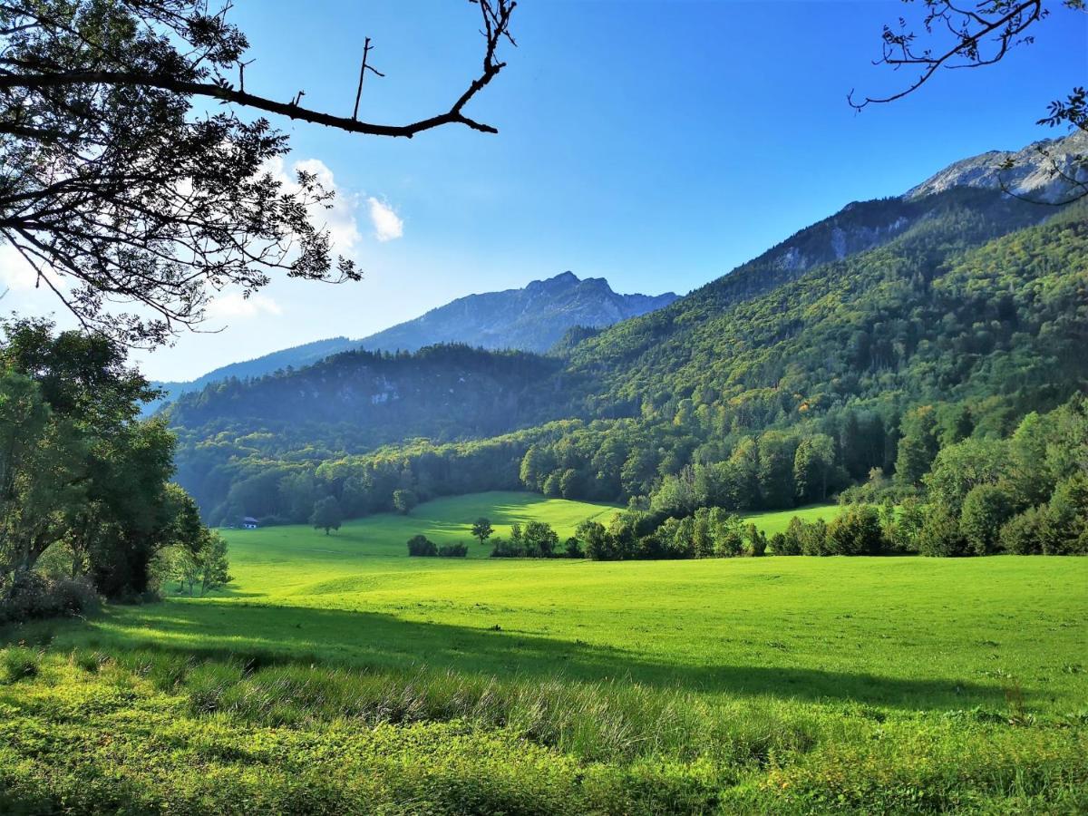 Villa Rosen - Ferienwohnungen バートライヘンハル エクステリア 写真
